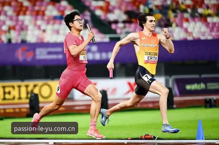 leyu CN sport login2026最新版：6项关键升级，数据控的理性选择